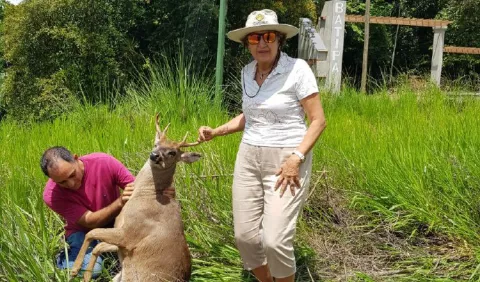 Muro vial entre Veraguas y Chiriquí convertido en trampa de  muerte