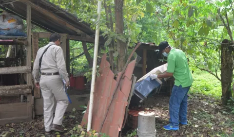 Confirman siete nuevos casos de Hantavirus en Los Santos 