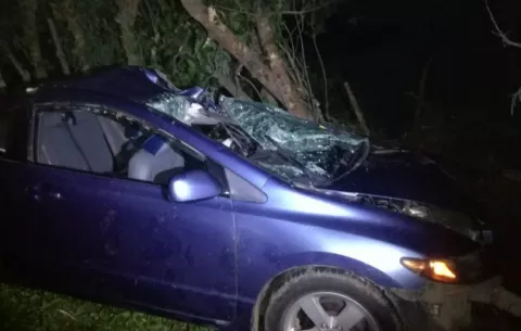 Hombre pierde la vida al estrellarse con un árbol en Parita