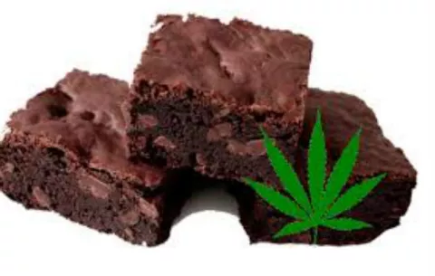 Se intoxican con brownie de marihuana durante partido Uruguay-Egipto