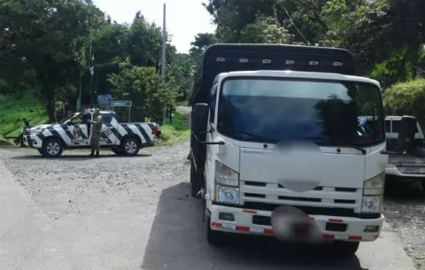 Ubican 12 reses de contrabando en Río Sereno