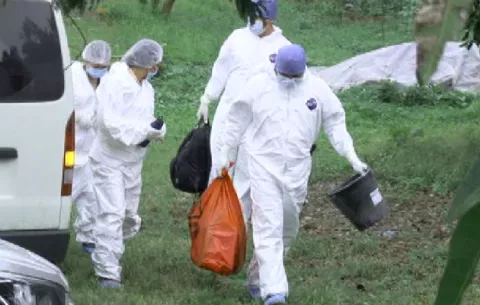 Exhuman cuerpo de recién nacido en Boquete, ante denuncia de abuso sexual