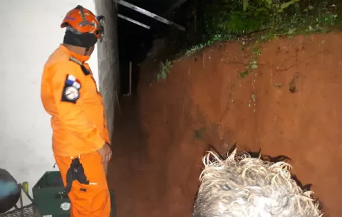 Lluvias dejan deslizamientos de tierra y caída de árboles en Herrera