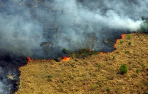 Miles de evacuados por incendios que avanzan en el oeste de EE.UU.