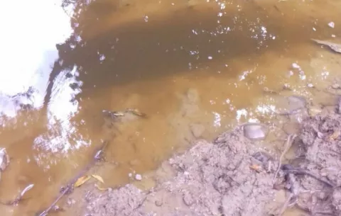 Piden investigar  contaminación en la quebrada El Barrero 