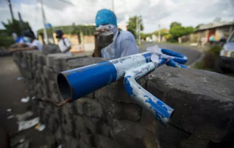 Nicaragüenses piden a la OEA que condene la "dictadura genocida" de Ortega
