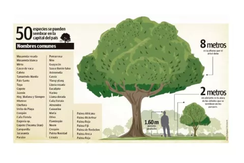 La naturaleza se abre paso entre el cemento