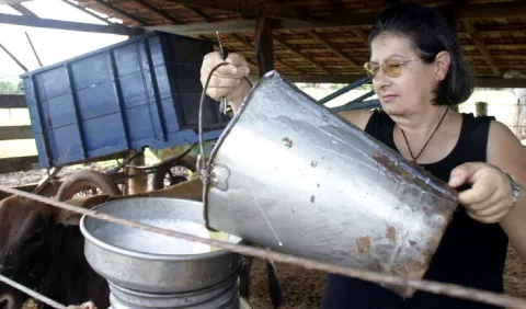 Piden al Gobierno que interceda para evitar una crisis en el sector lechero