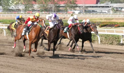 Inscripciones cierran hoy