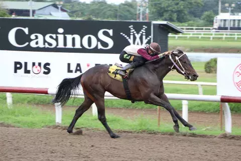 El Tracio, Chinito Llorón y Quiet Out se miden en una carrera complicada