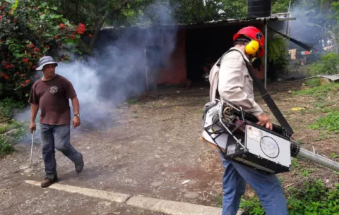 Autoridades de salud en Chiriquí están alerta por la infestación del Aedes 