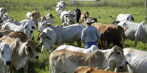 El suelo, un ecosistema base para la productividad agropecuaria