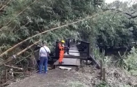 En Puerto Armuelles, hallan cadáver tirado debajo del antiguo ferrocarril
