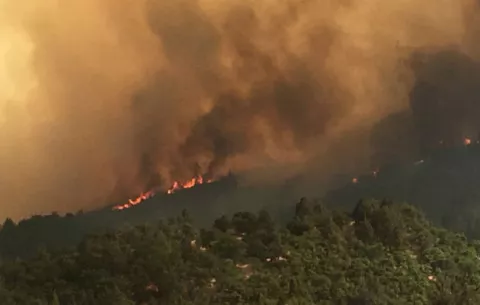La ola de calor en California marca temperaturas históricas