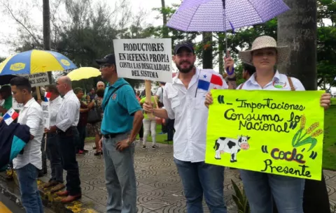 Productores panameños marchan a caballo hacia la Presidencia