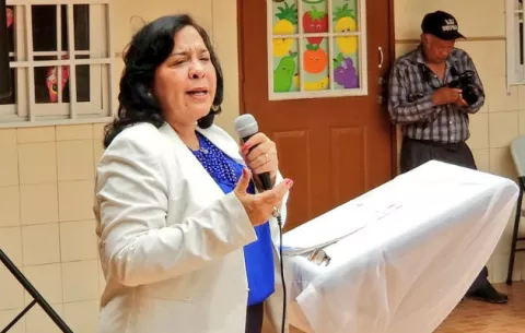 Ministra de Educación ocuparía Consulado en Chile