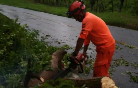 Vacamonte, afectada por la caída de granizo y árboles por fuerte temporal 