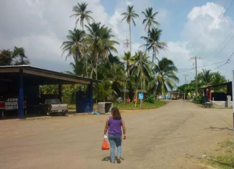 ¡Trágico! Homicidio y suicidio enlutecen a Palenque en Colón