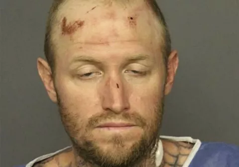 ¡Salvaje!, en Denver, un ladrón muerde y estrangula a un perro policía 
