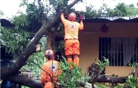 Vendaval en Veraguas afecta unas 6 casas y derriba unos 200 árboles