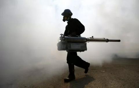 El virus del Zika podría causar abortos incluso en mujeres sin síntomas