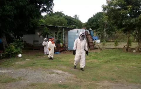 Dos afectados por ataque de abejas en casa de Santiago