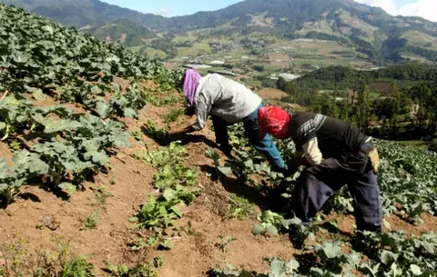 Industriales cuestionan falta de políticas agrícolas