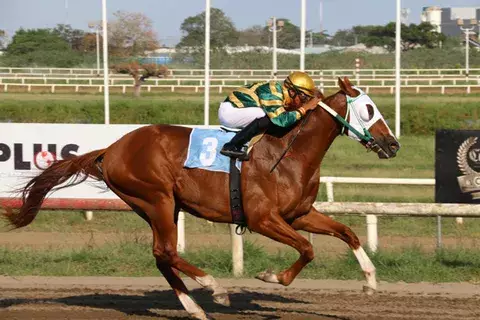 Zyzilia y Arthur´s Pride cargarán todo el dinero hoy