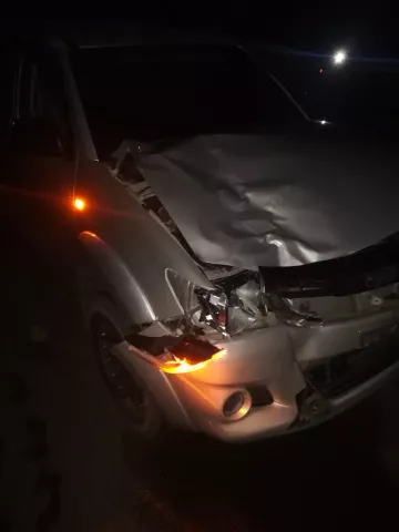 Veintiséis peatones han muerto en las calles chiricanas