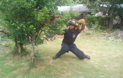 Bomberos liberan a un perezoso atrapado en Dolega