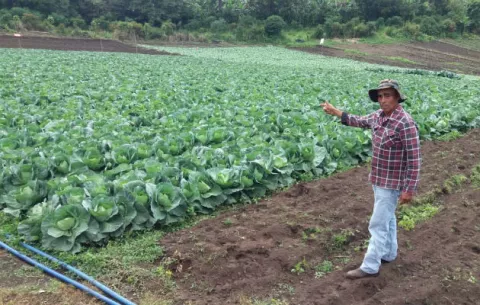 Productores de Renacimiento le exigen al MOP la pronta reparación de los caminos 