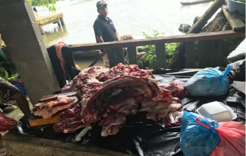 Los sorprenden sacrificando reses sin las medidas sanitarias