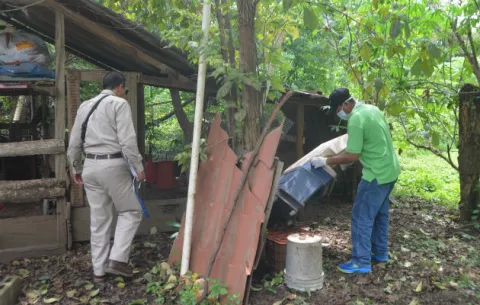 Seis nuevos casos de Hantavirus en Los Santos y una muerte en Coclé