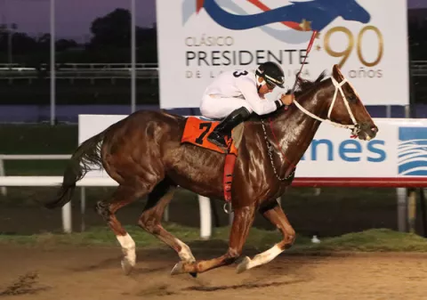 Colleton Garden tratará de escaparse de sus rivales de la séptima serie