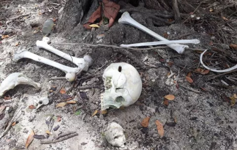 ¡Escalofriante!, hallan huesos y cráneo humano en la Costa Arriba de Colón 