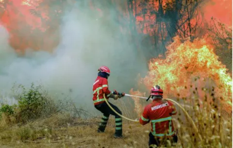 Incendio de El Algarve sigue descontrolado tras cuatro días