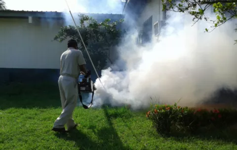 Salud advierte de una posible epidemia de dengue en Los Santos