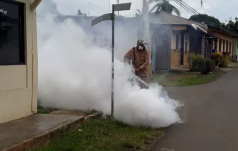 Preocupa aumento de casos de dengue en Los Santos