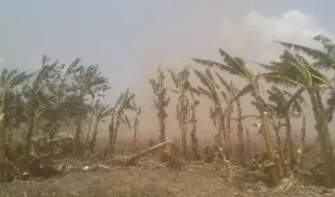 Nube del Sahara no afecta a Panamá