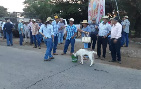  Productores cierran el puente sobre el río La Villa y en el Oeste, tras abandono del gobierno 