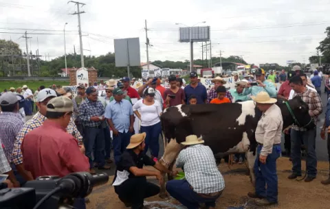 Productores y Gobierno acuerdan seguir negociando