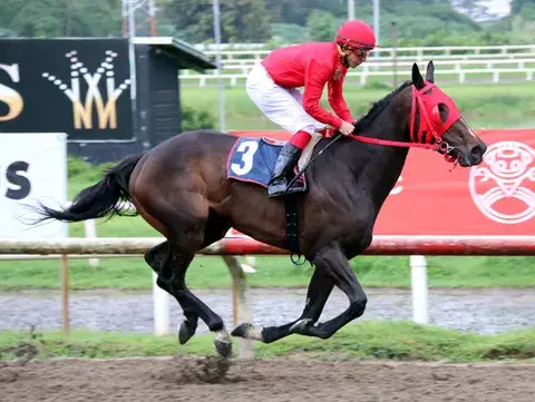 Uxia P. y Tiz Ardel van esta tarde a un duelo de campeonas