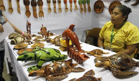 Crean clúster de industria creativa en Panamá 