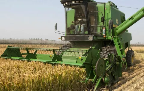 Comercio alimentario, una alternativa ante el cambio climático