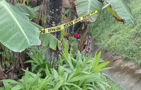 Muere al caer al fondo de una cuneta a orilla de carretera en Cerro Silvestre