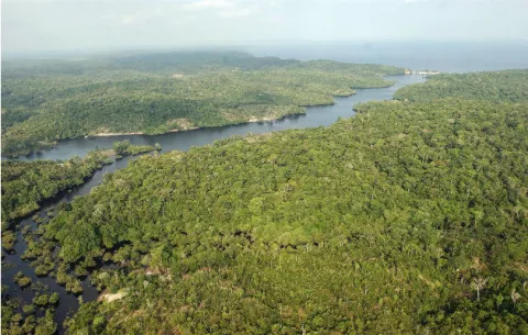 Obispos de la Amazonía a favor de que hombres casados sean ordenados curas