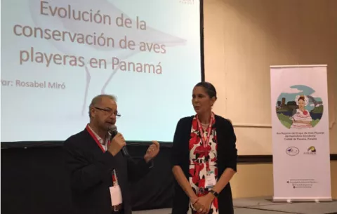 Expertos dialogan sobre mecanismos de conservación de las aves playeras
