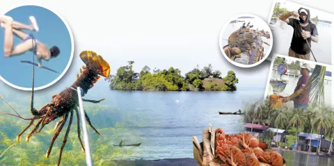Pueblo ngäbe mantiene vivo  el riesgoso y ancestral oficio de 'buceo a pulmón'