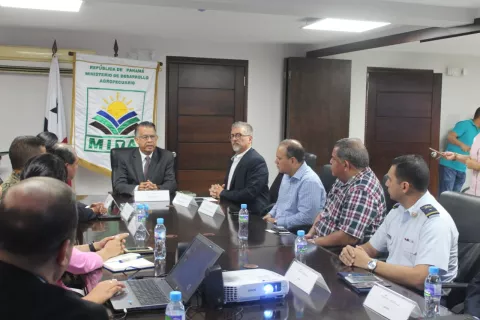 Instalan Comisión Técnica de Apoyo para prevenir entrada del Hongo que afecta a plantaciones de plátano y banano 