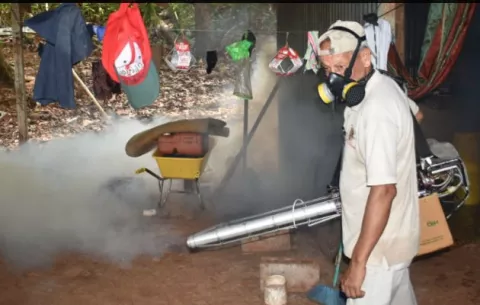 David y Paso Canoas en riesgo de una epidemia de dengue y chikungunya 